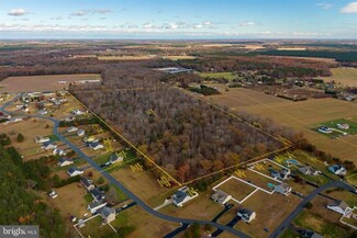 Plus de détails pour 50 acres Mt Joy, Millsboro, DE - Terrain à vendre