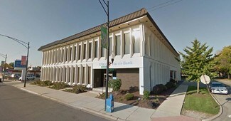 Plus de détails pour 6400 S Pulaski Rd, Chicago, IL - Bureau à louer