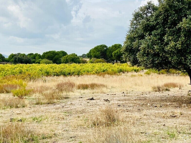 Terrain dans San Martín de Valdeiglesias, Madrid à vendre - Photo de l’immeuble – Image 3 sur 7
