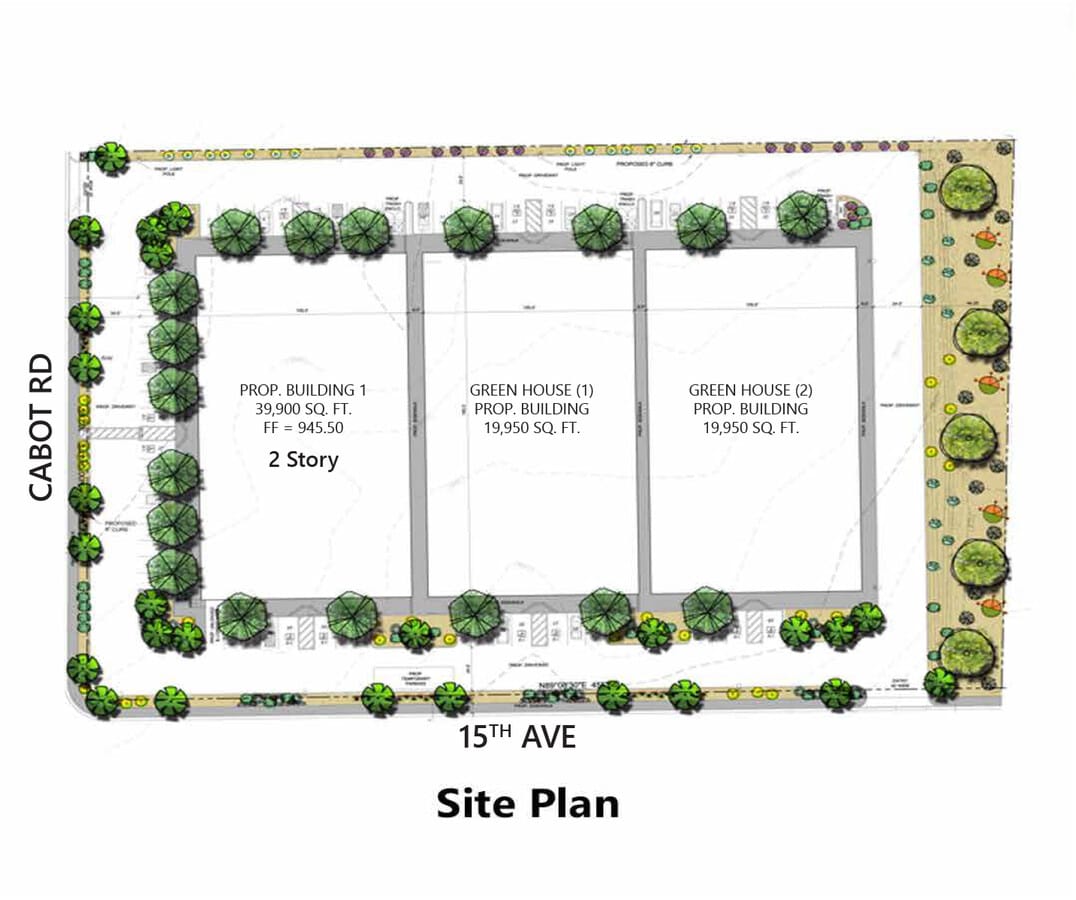 Plan de site