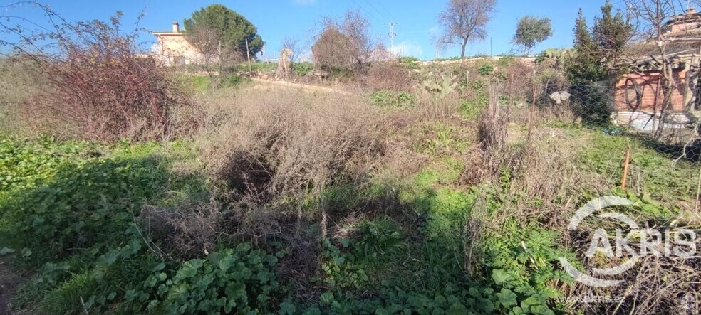 Terrain dans Méntrida, Toledo à vendre - Photo de l’immeuble – Image 3 sur 5