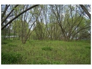 Plus de détails pour Genesee St, Chittenango, NY - Terrain à vendre