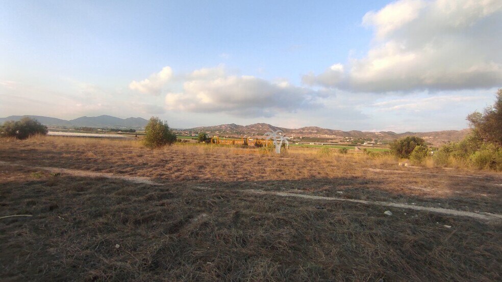 Partida Alcana, Aspe Pedanias, 49, Elche, Alicante à vendre - Aérien – Image 2 sur 5