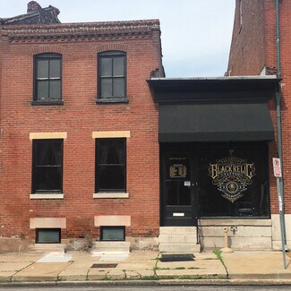 Plus de détails pour 1919 S 12th St, Saint Louis, MO - Local commercial à vendre