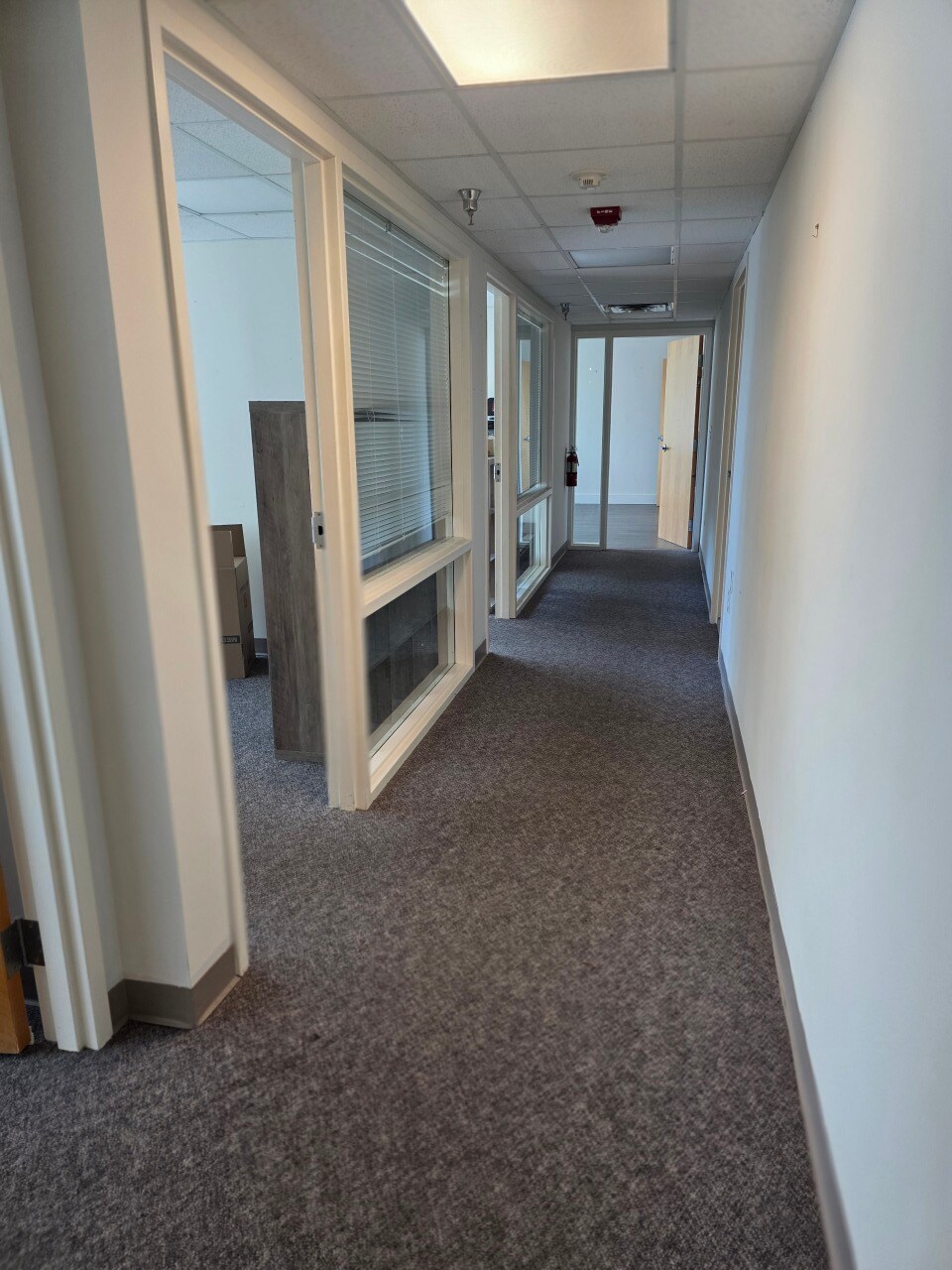 33 6th St S, Saint Petersburg, FL à louer Photo intérieure– Image 1 sur 2