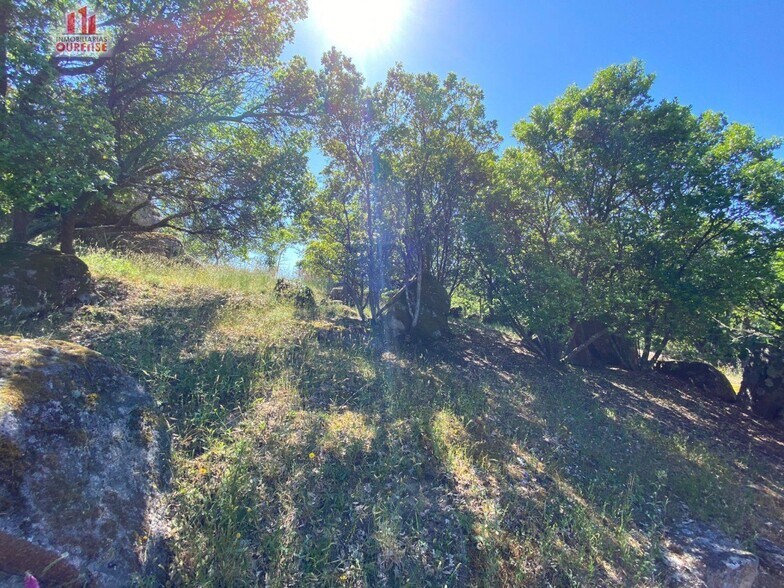 Terrain dans Ourense, Orense à vendre - Photo principale – Image 3 sur 9