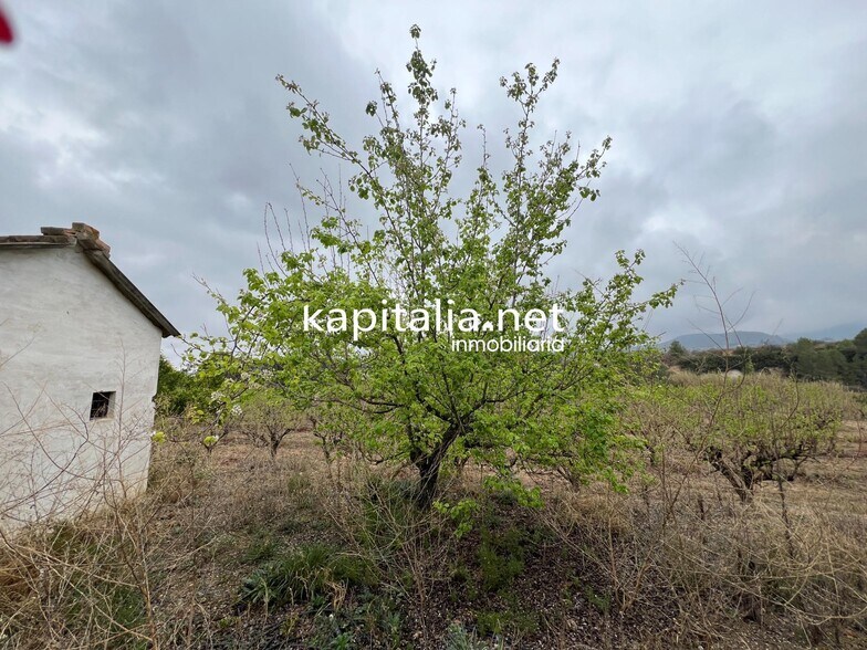 Terrain dans Albaida, Valencia à vendre - Photo principale – Image 3 sur 3