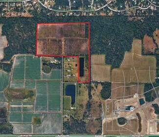 Plus de détails pour Buckeye Rd, Parrish, FL - Terrain à vendre