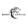 Root Capital LLC