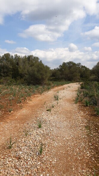 Ma, 6014, Llucmajor, Islas Baleares à vendre - Photo de l’immeuble – Image 2 sur 11