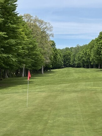 Plus de détails pour 29592 Pokagon Hwy, Dowagiac, MI - Terrain à vendre