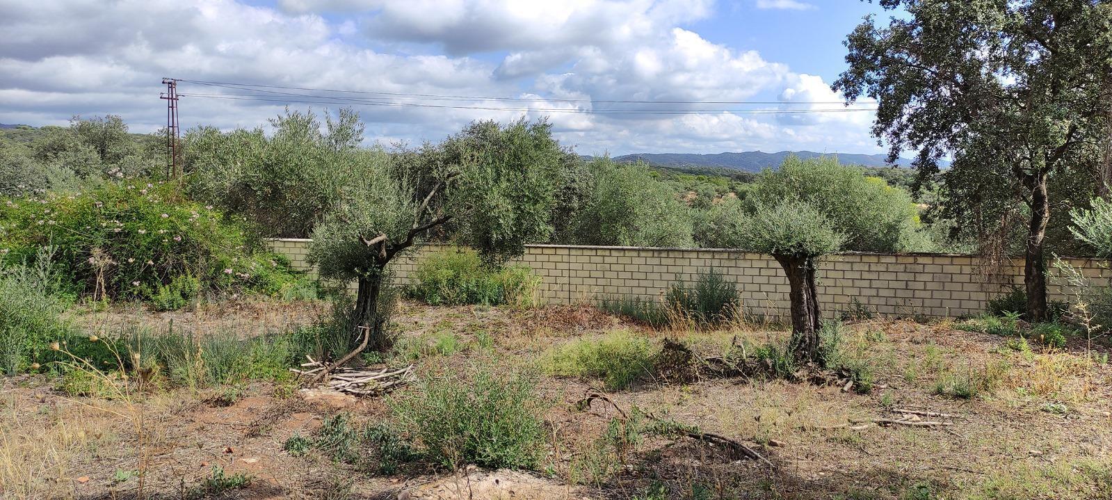 Terrain dans Córdoba, Córdoba à vendre Photo principale– Image 1 sur 10