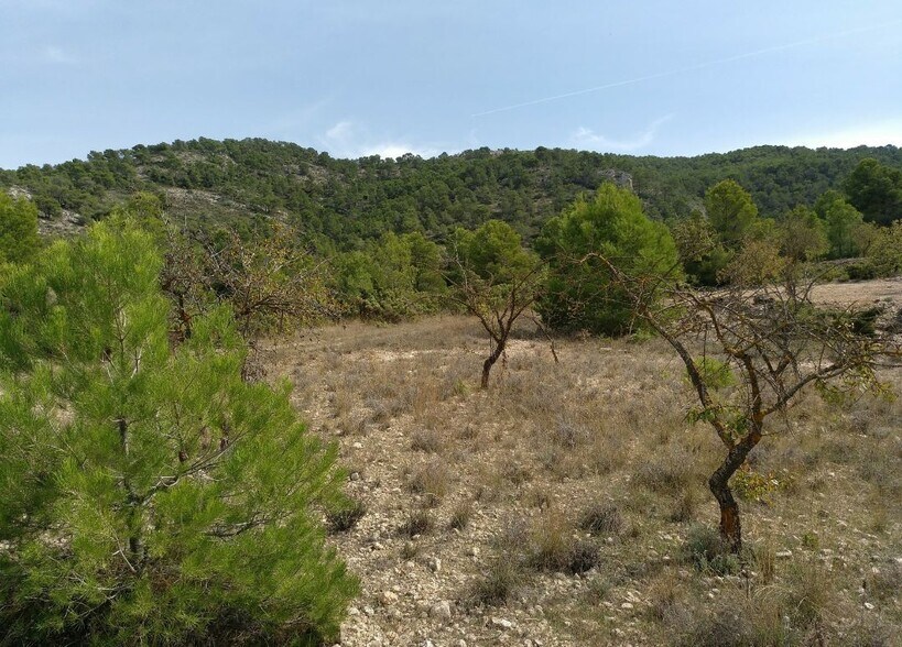 Terrain dans Abanilla, Murcia à vendre - Plan de site – Image 3 sur 8