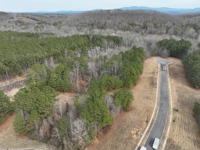 0 Coahulla Creek Dr, Dalton, GA à vendre - Aérien – Image 2 sur 16