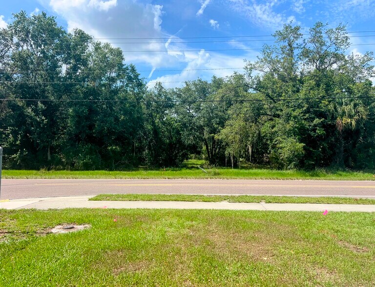 1308 E Alsobrook St, Plant City, FL à vendre - Photo de l’immeuble – Image 1 sur 3