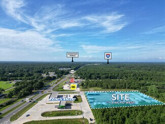 Plus de détails pour 364 Radcliff Rd, Creola, AL - Spécialisé à vendre