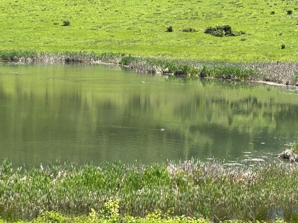 View Photo