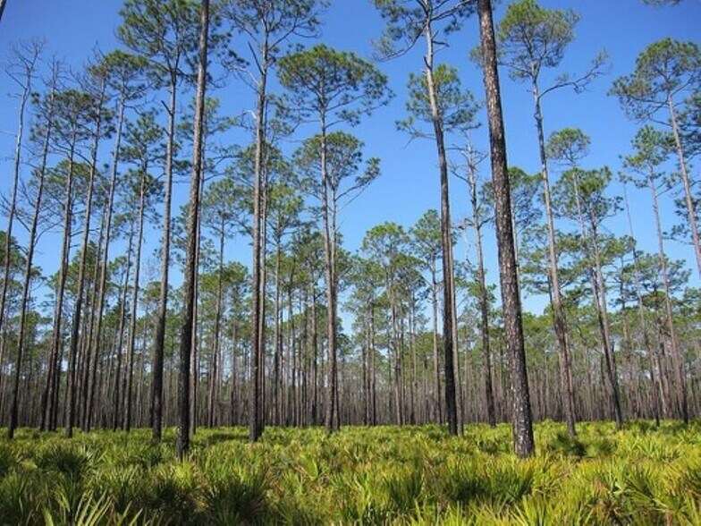 New Connell Grade, Perry, FL à vendre - Autre – Image 2 sur 6