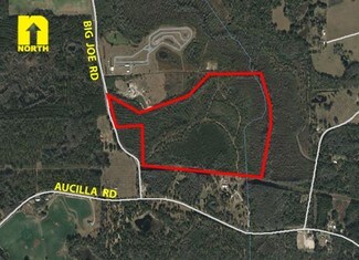 Plus de détails pour Big Joe Aucilla Rds, Monticello, FL - Terrain à vendre