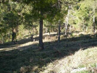 Plus de détails pour El Serrat de Castellnou – Terrain à vendre, Castellnou de Bages