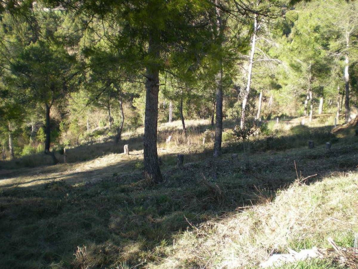 El Serrat de Castellnou portefeuille de 4 biens à vendre sur LoopNet.fr Photo de l’immeuble– Image 1 sur 5