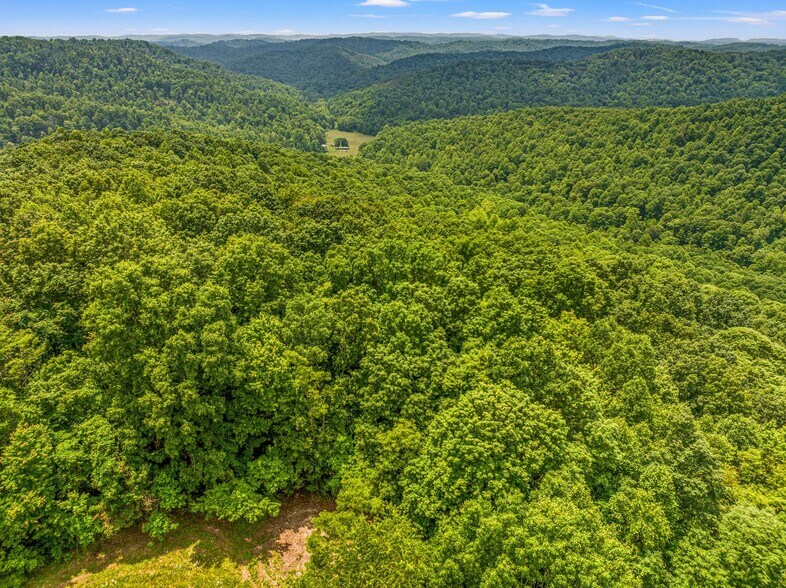 1945 Pittman Branch Rd, Mount Vernon, KY à vendre - Photo de l’immeuble – Image 3 sur 9