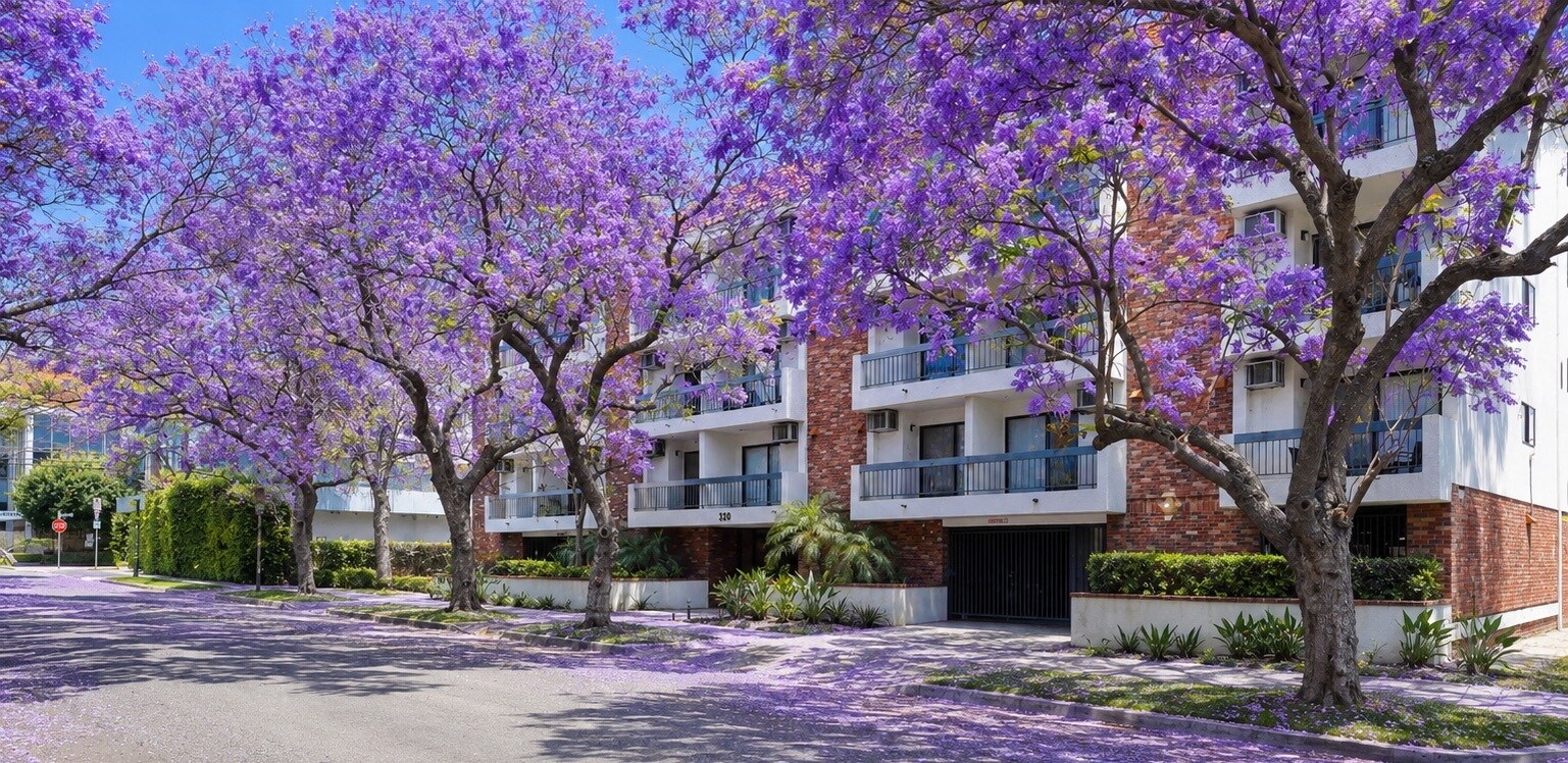 320 S Arnaz Dr, Los Angeles, CA à vendre Photo de l’immeuble– Image 1 sur 13