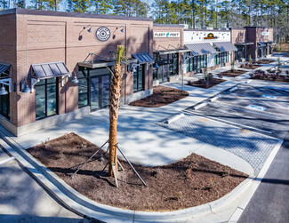 Plus de détails pour 201 Okatie Village Dr, Okatie, SC - Local commercial à vendre