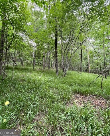 55 Sweetwater way, Lula, GA à vendre - Photo de l’immeuble – Image 3 sur 8