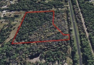 Plus de détails pour 0 US 17 Hwy, Pierson, FL - Terrain à vendre