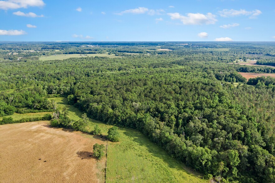 1031 Brown Rd, Graceville, FL à vendre - Photo de l’immeuble – Image 3 sur 13
