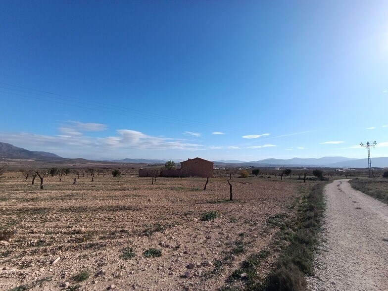 Terrain dans Yecla, Murcia à vendre - Photo principale – Image 2 sur 20