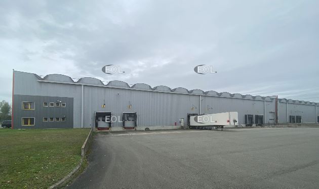 Industriel/Logistique dans Ottmarsheim à louer Photo de l’immeuble– Image 1 sur 15