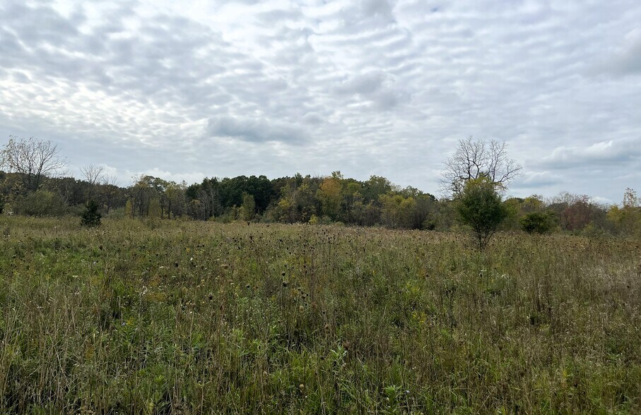 Whitmore Lake Rd, Whitmore Lake, MI à vendre - Photo de l’immeuble – Image 2 sur 2