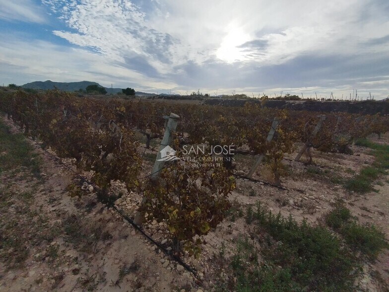 Terrain dans Novelda, Alicante à vendre - Photo principale – Image 2 sur 5