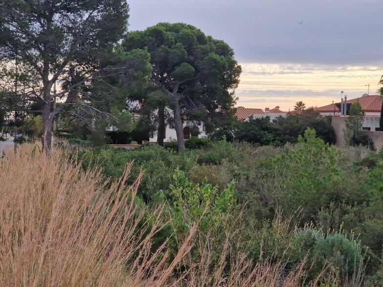 Terrain dans Mont-roig del Camp, Tarragona à vendre - Photo de l’immeuble – Image 2 sur 7