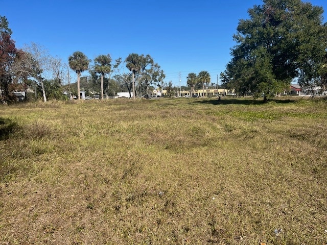 View Photo