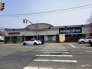 Plus de détails pour 1358-1360 Willis Ave, Albertson, NY - Local commercial à vendre