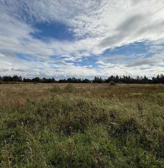 Hurlawcrook Rd, East Kilbride à vendre - Autre – Image 2 sur 2