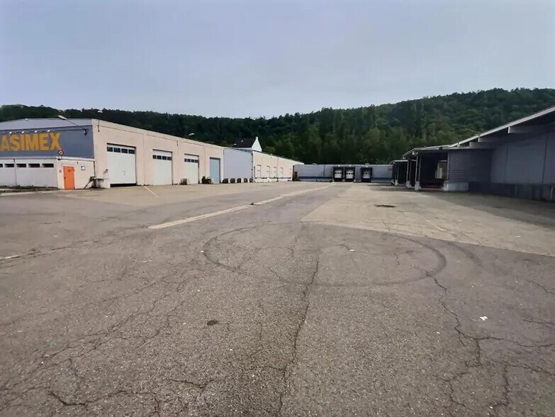 Industriel/Logistique dans Stiring-Wendel à louer - Photo de l’immeuble – Image 2 sur 12