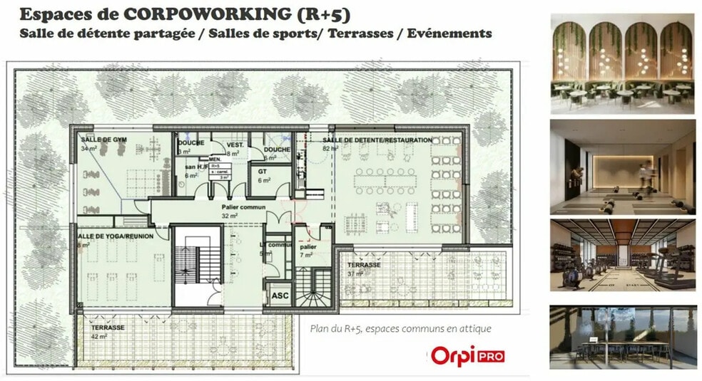 Bureau dans Pau à vendre - Plan d’étage – Image 3 sur 5