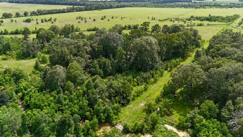 31100 Old Sour Lake Road, Sour Lake, TX à vendre - Photo de l’immeuble – Image 1 sur 2