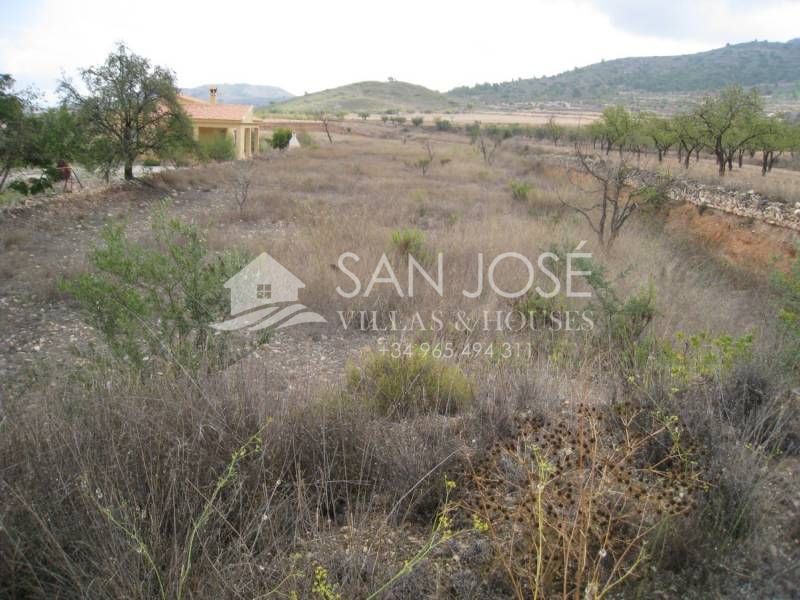 Terrain dans Hondón de los Frailes, Alicante à vendre Plan de site– Image 1 sur 4