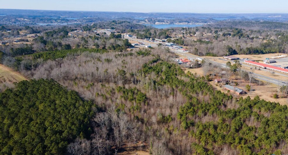 12261 US Highway 431, Guntersville, AL à vendre - Aérien – Image 2 sur 5