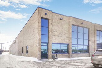 Plus de détails pour 4580-4610 Hickmore, Montréal, QC - Industriel/Logistique à louer