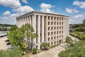 Plus de détails pour 519 N Sam Houston Pky E, Houston, TX - Différents types d’espaces à louer
