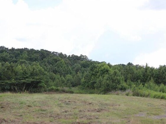 0 AL HWY 157, Cullman, AL à vendre Autre– Image 1 sur 2
