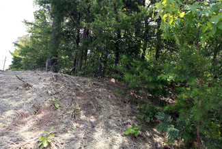Plus de détails pour Mine Rd & Greenspring Dr, Stafford, VA - Terrain à louer