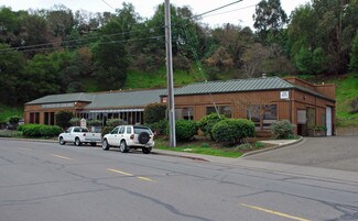 Plus de détails pour 15 Woodland Ave, San Rafael, CA - Industriel/Logistique à vendre
