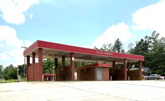 Plus de détails pour 19617 US-82, Carrollton, MS - Spécialisé à vendre